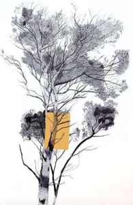 Tatiana Blanque_Arbre_Rotulador-y-boli-big_papel_11950x80cm_1700Evitrina-150